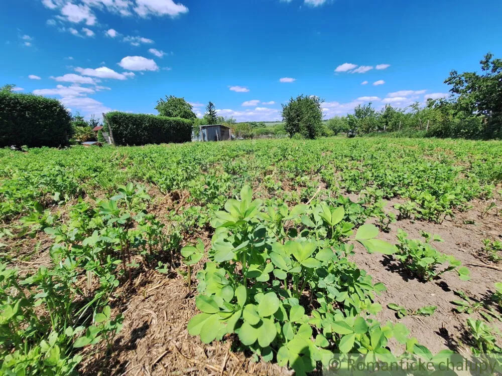 Záhrada na predaj 2216m2, Nová Vieska, 155395_3