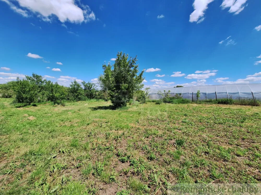 Záhrada na predaj 2216m2, Nová Vieska, 155395_7