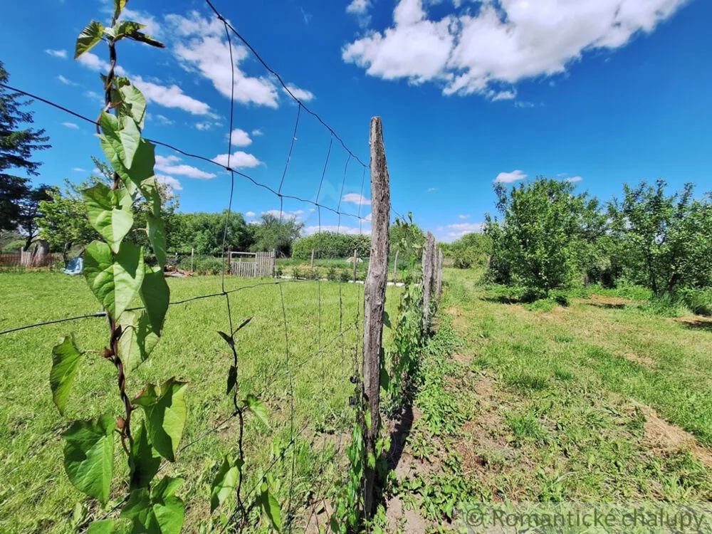 Záhrada na predaj 2216m2, Nová Vieska, 155395_11