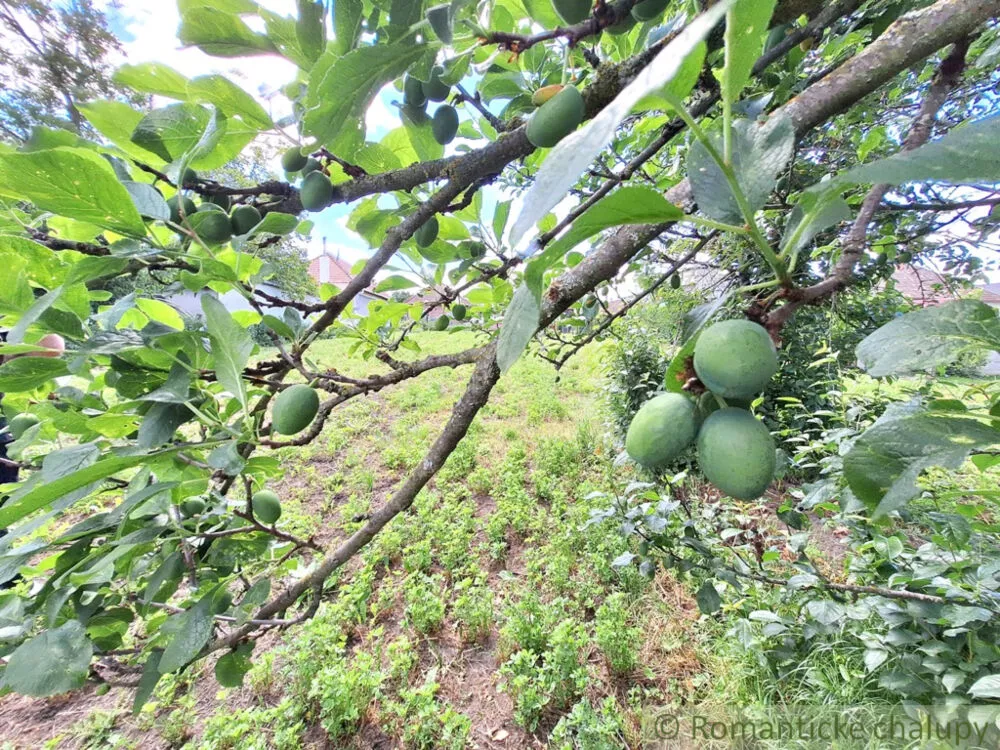 Záhrada na predaj 2216m2, Nová Vieska, 155395_13