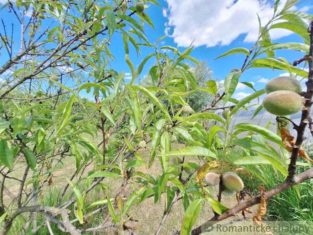 Záhrada na predaj 2216m2, Nová Vieska, 155395_15