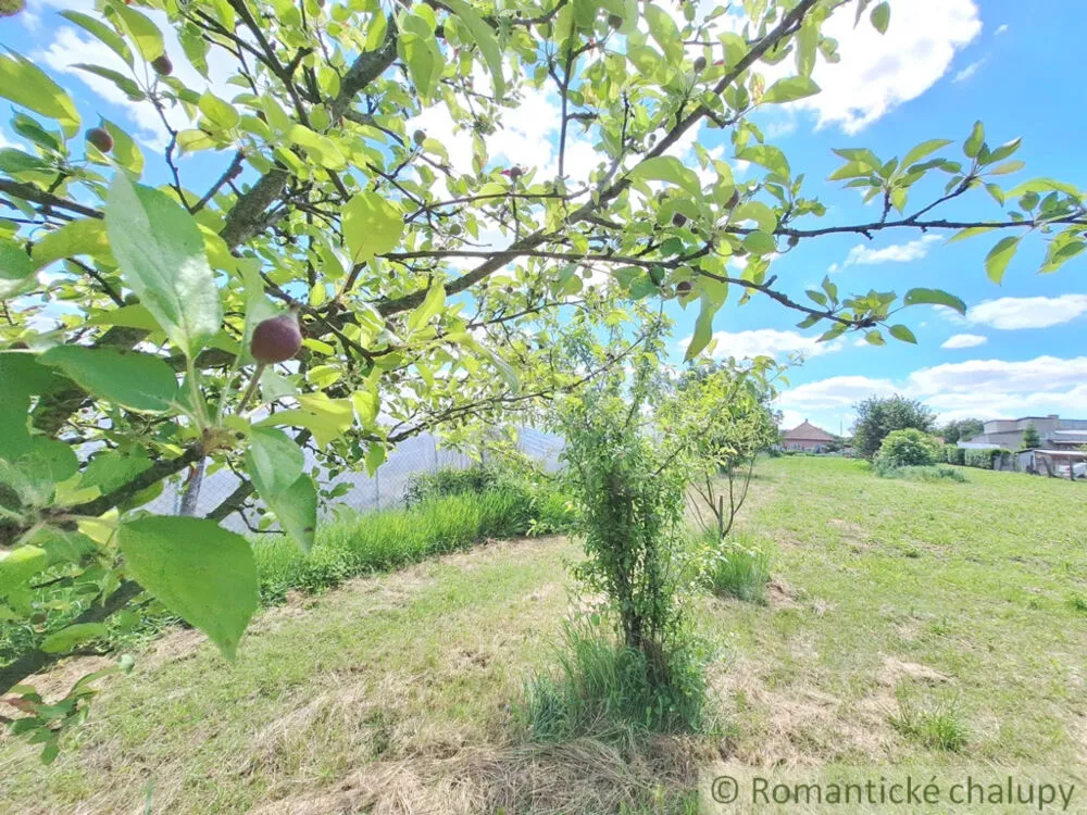 Záhrada na predaj 2216m2, Nová Vieska, 155395_16