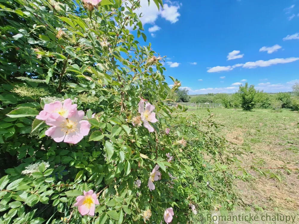 Záhrada na predaj 2216m2, Nová Vieska, 155395_25