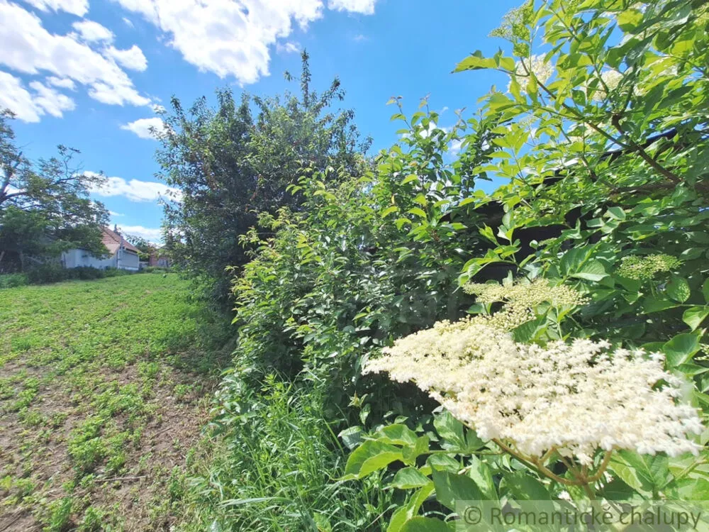 Záhrada na predaj 2216m2, Nová Vieska, 155395_26