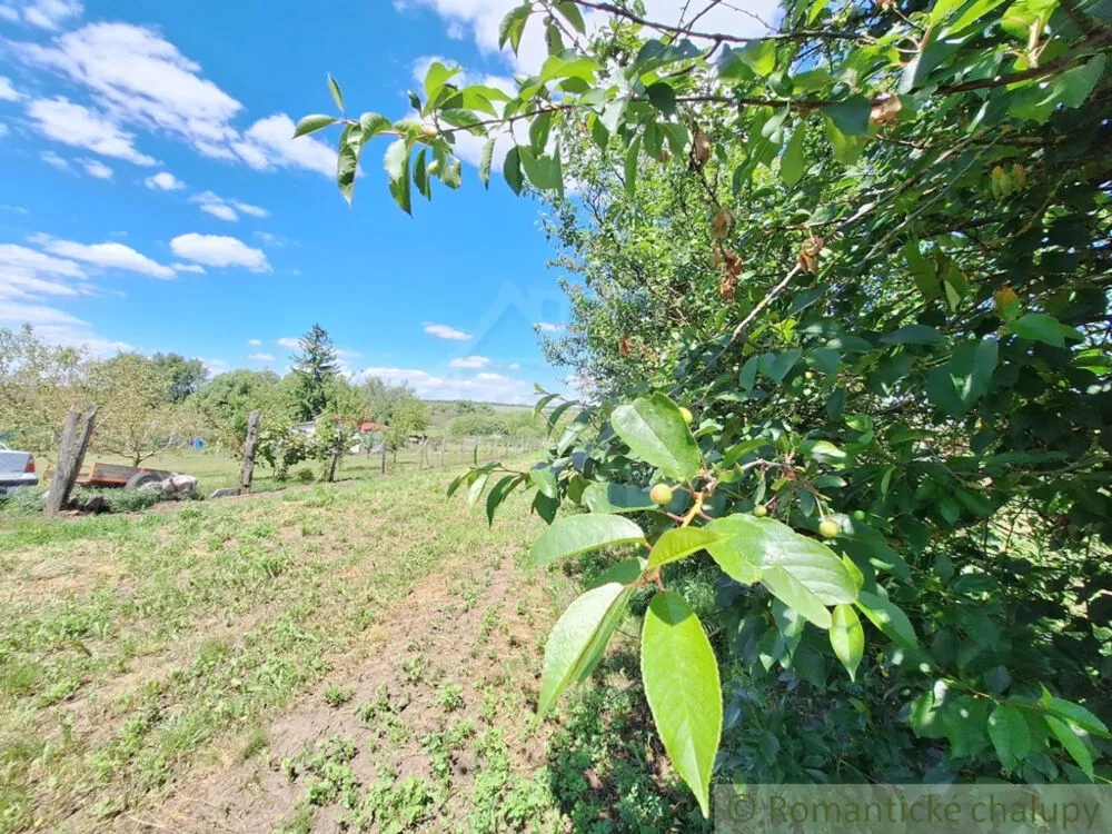 Záhrada na predaj 2216m2, Nová Vieska, 155395_28