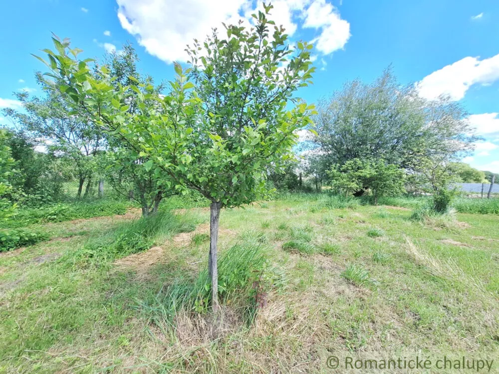 Záhrada na predaj 2216m2, Nová Vieska, 155395_32