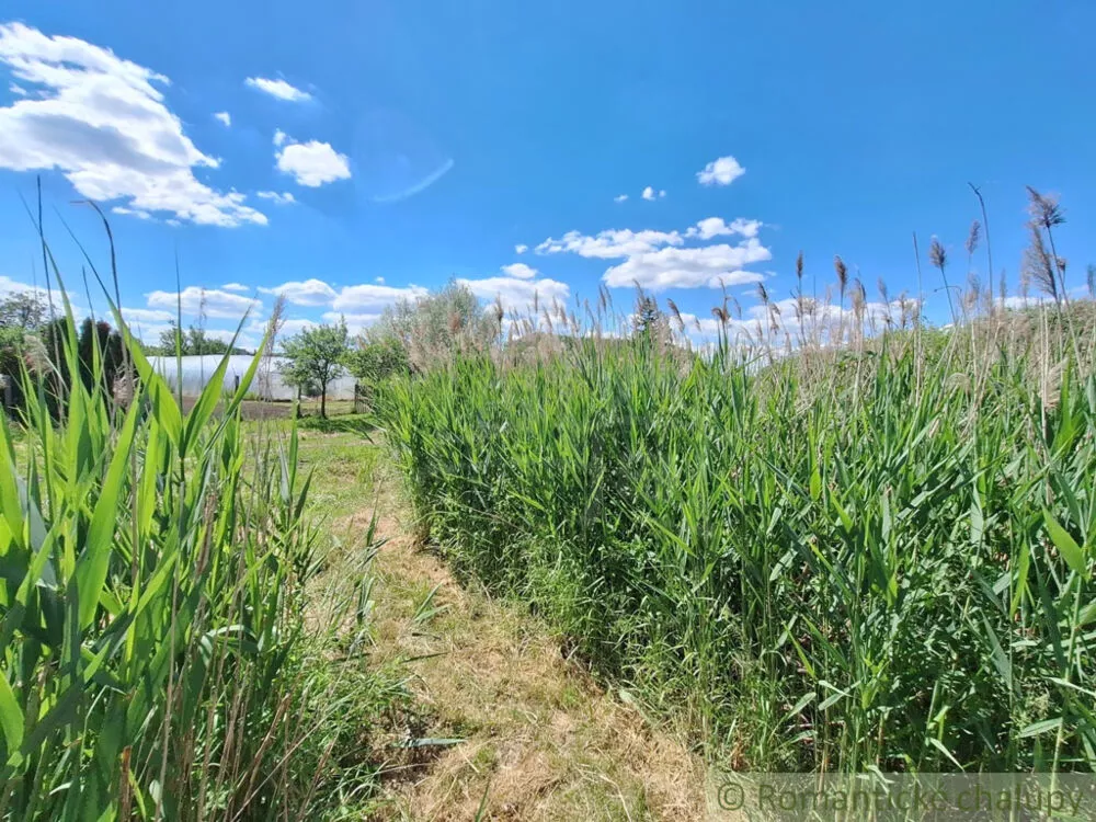 Záhrada na predaj 2216m2, Nová Vieska, 155395_37