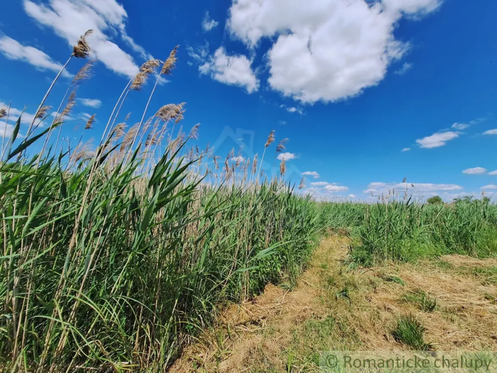 Záhrada na predaj 2216m2, Nová Vieska, 155395_38
