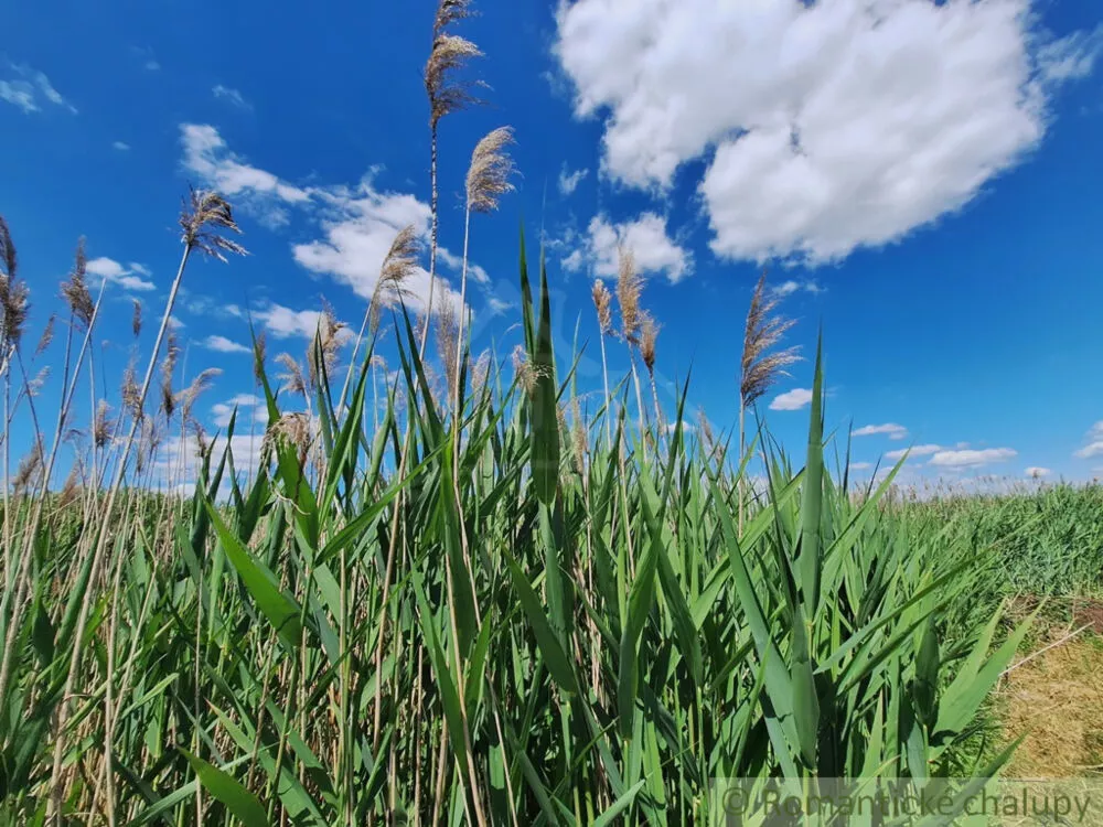Záhrada na predaj 2216m2, Nová Vieska, 155395_39