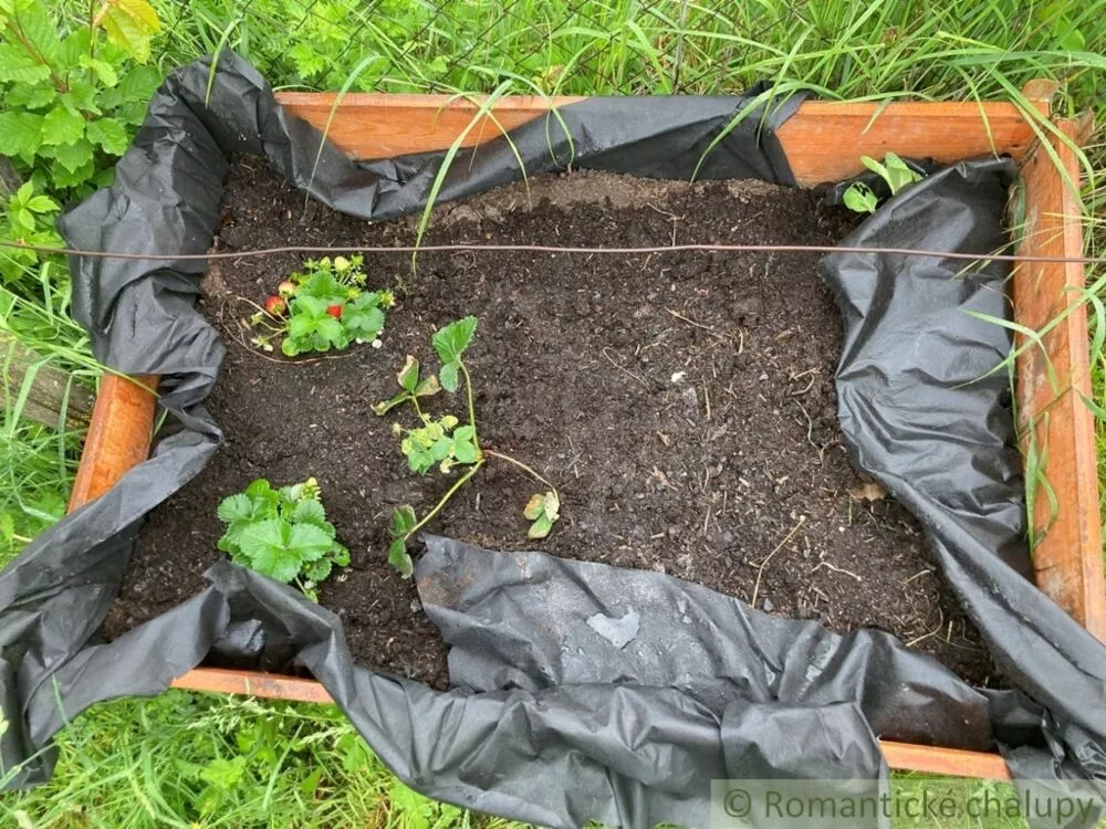 Vidiecky dom na predaj 80m2, Podhájska, 125540_45