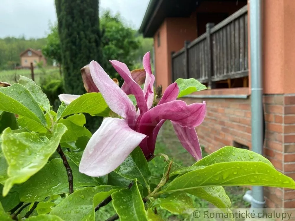 Vidiecky dom na predaj 80m2, Podhájska, 125540_47