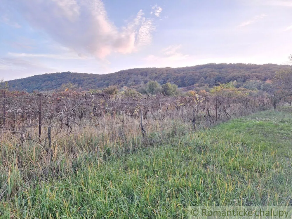 Chata a chalupa na predaj 30m2, Nána, 146928_4