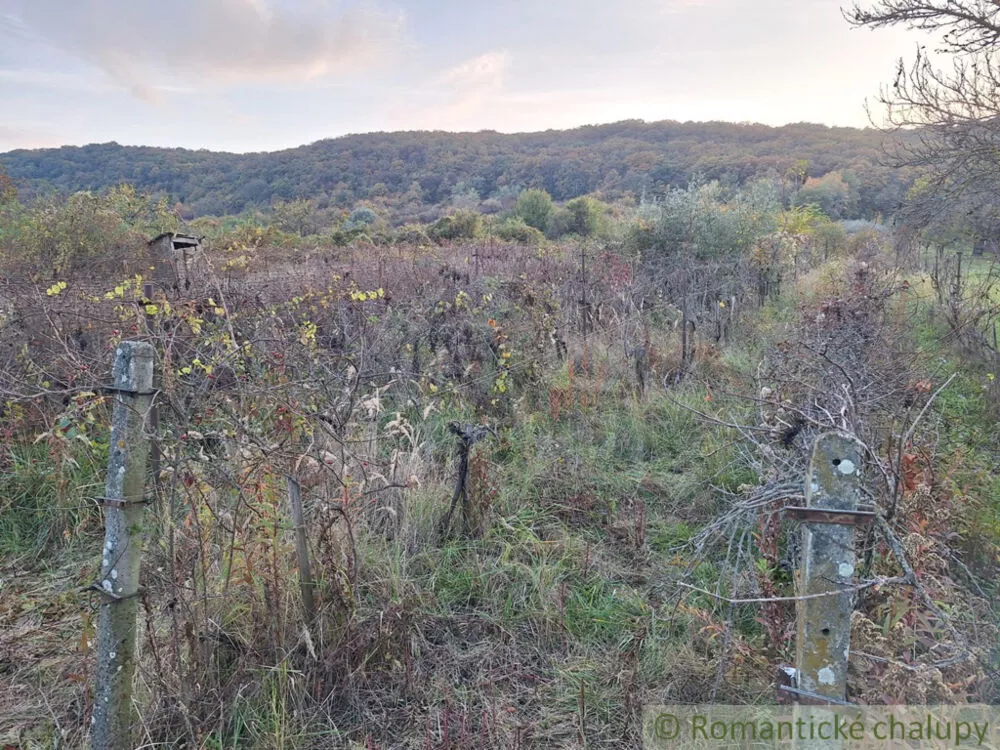 Chata a chalupa na predaj 30m2, Nána, 146928_5