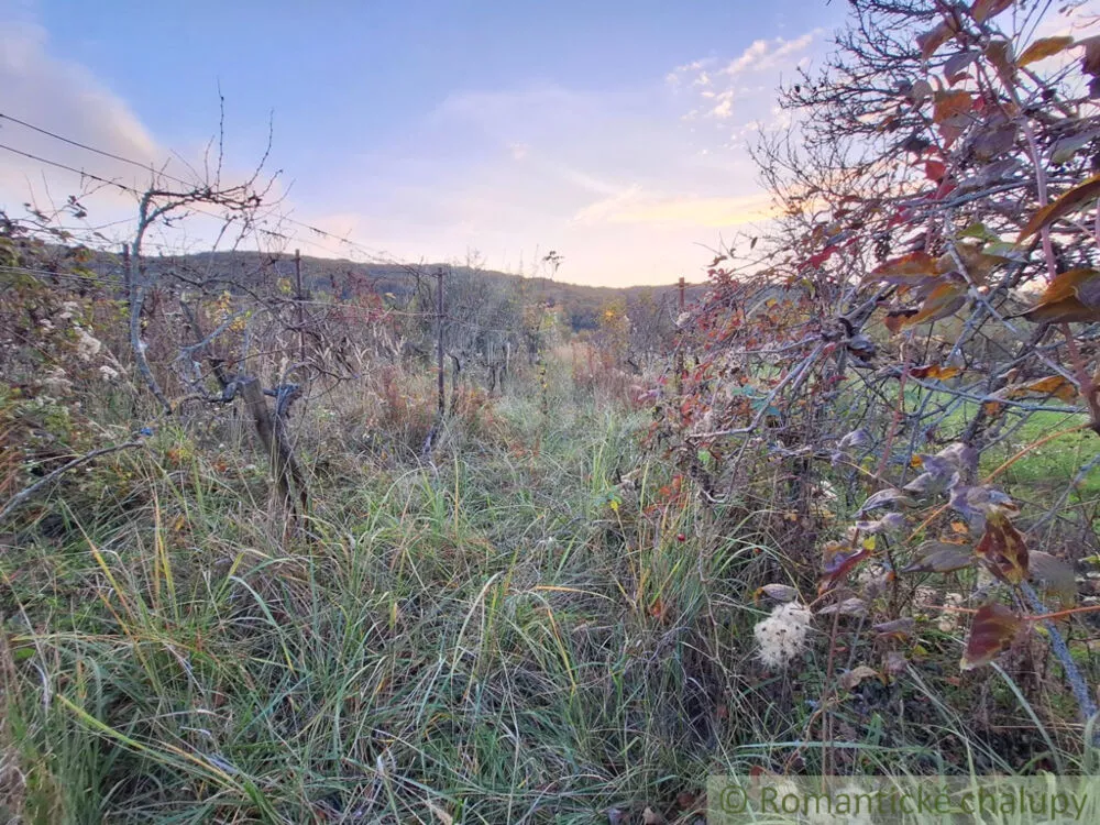 Chata a chalupa na predaj 30m2, Nána, 146928_6
