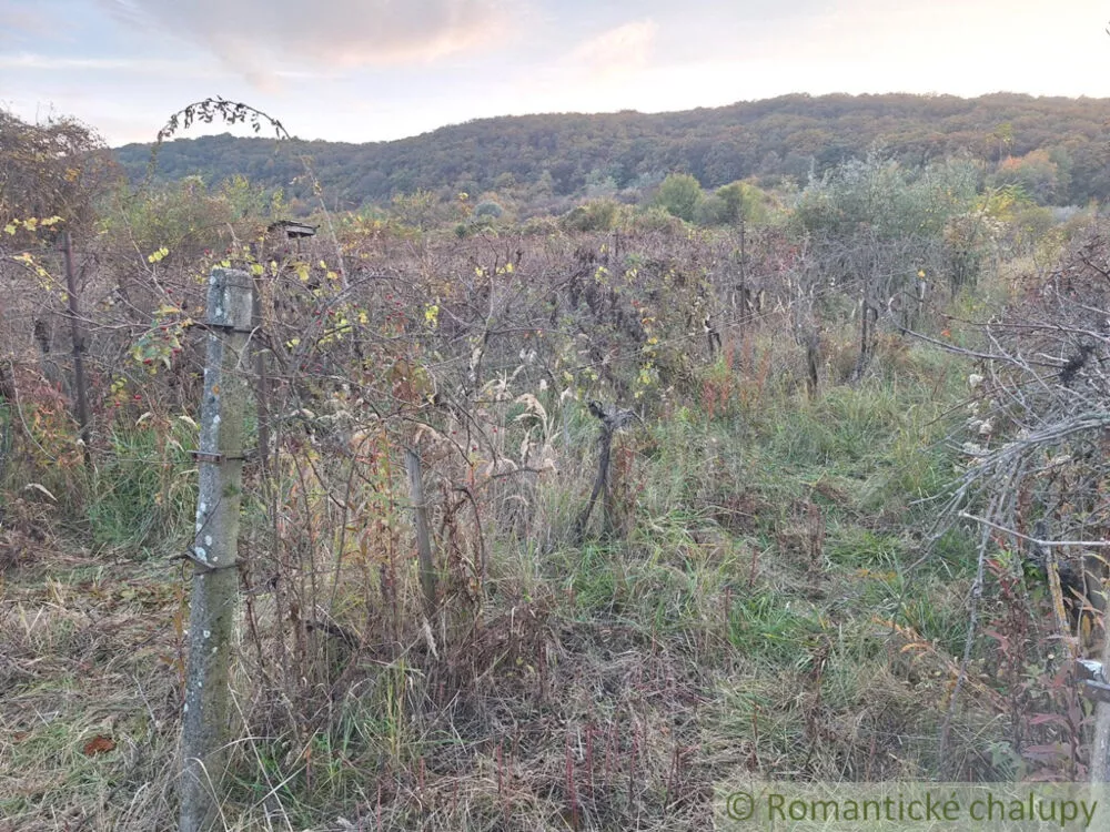 Chata a chalupa na predaj 30m2, Nána, 146928_22