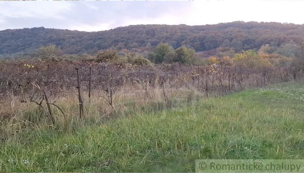 Chata a chalupa na predaj 30m2, Nána, 146928_24