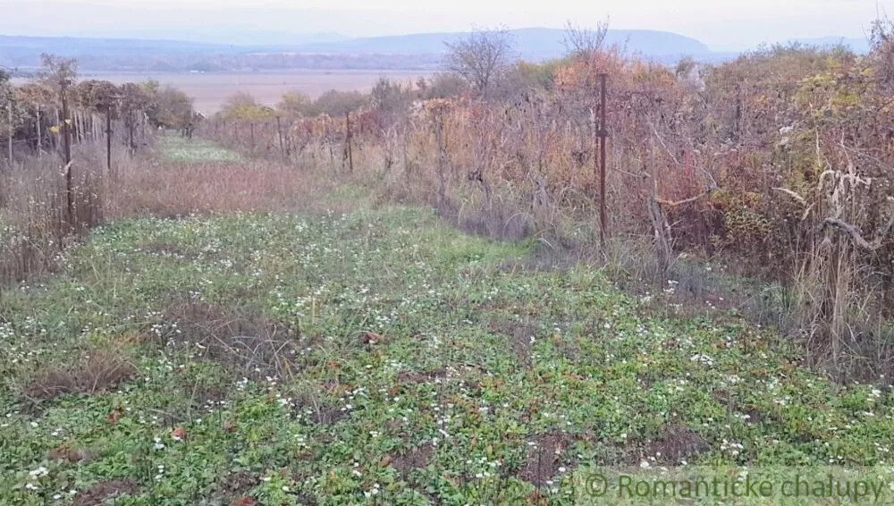 Chata a chalupa na predaj 30m2, Nána, 146928_28