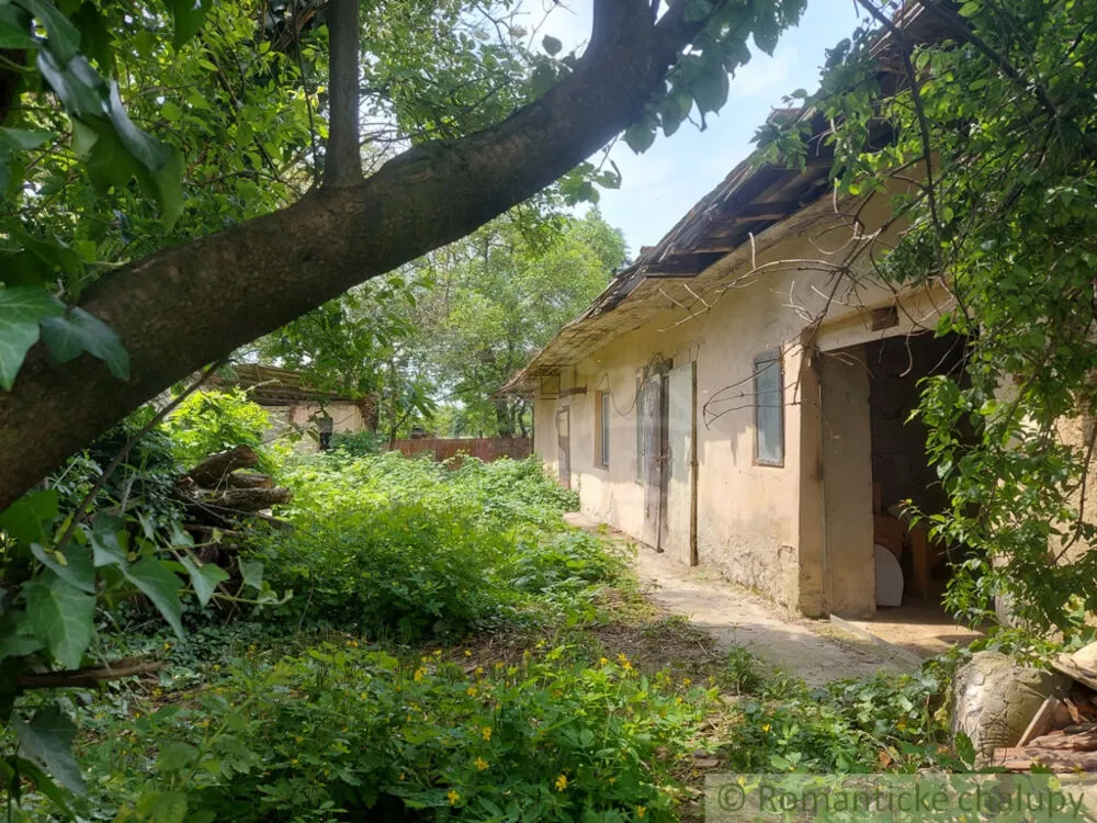 Vidiecky dom na predaj 100m2, Moča, 133321_7