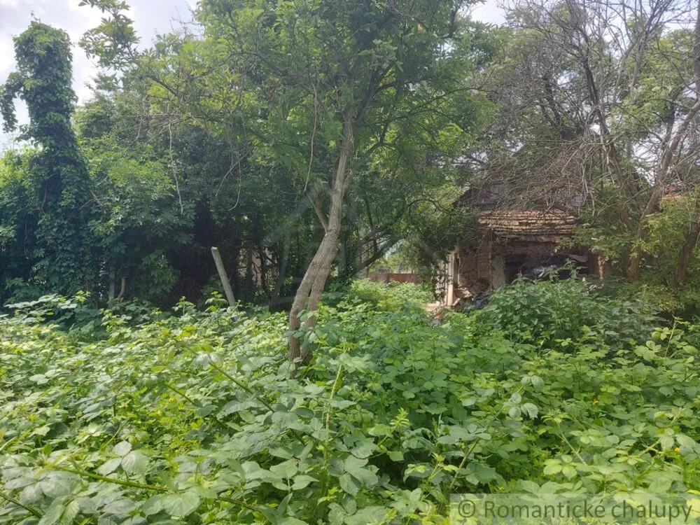 Vidiecky dom na predaj 100m2, Moča, 133321_32