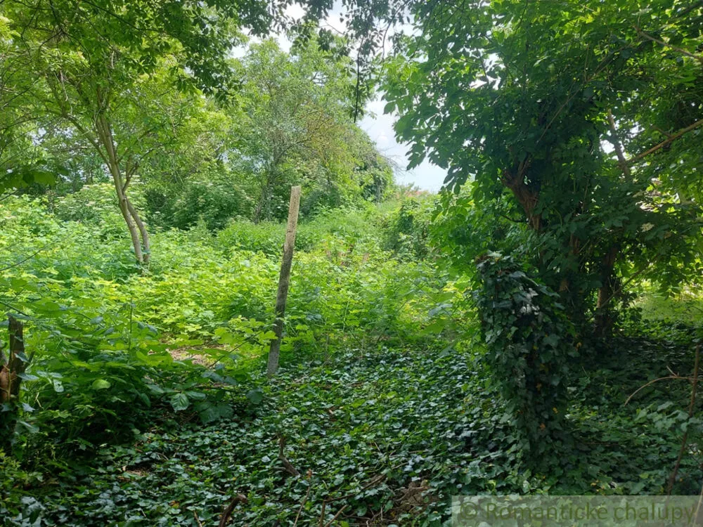 Vidiecky dom na predaj 100m2, Moča, 133321_33