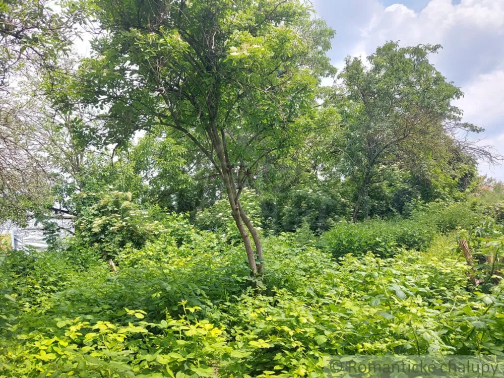 Vidiecky dom na predaj 100m2, Moča, 133321_34