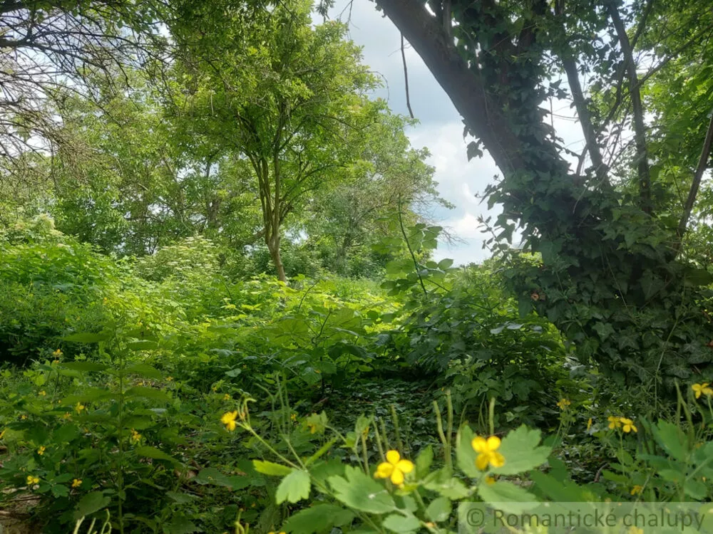 Vidiecky dom na predaj 100m2, Moča, 133321_35