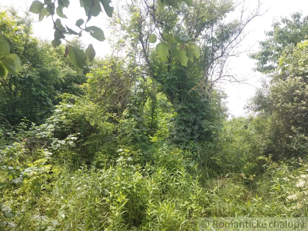 Vidiecky dom na predaj 100m2, Moča, 133321_41