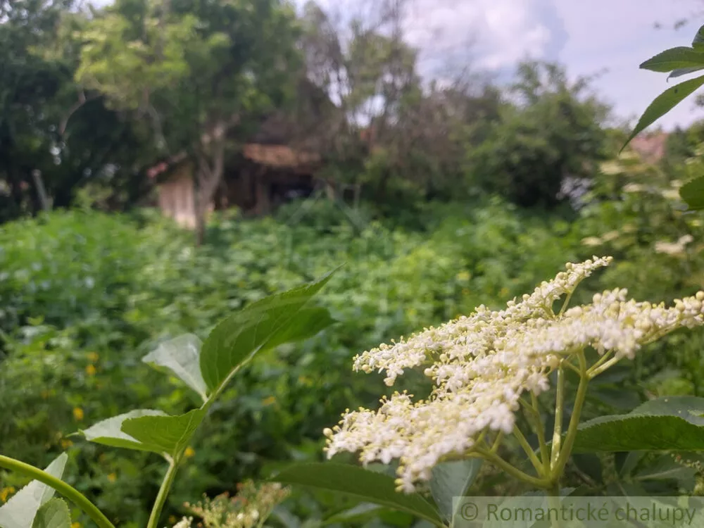 Vidiecky dom na predaj 100m2, Moča, 133321_45