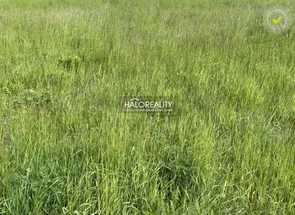 Pozemok pre rod. domy na predaj 464m2, Fintice, 158735_1