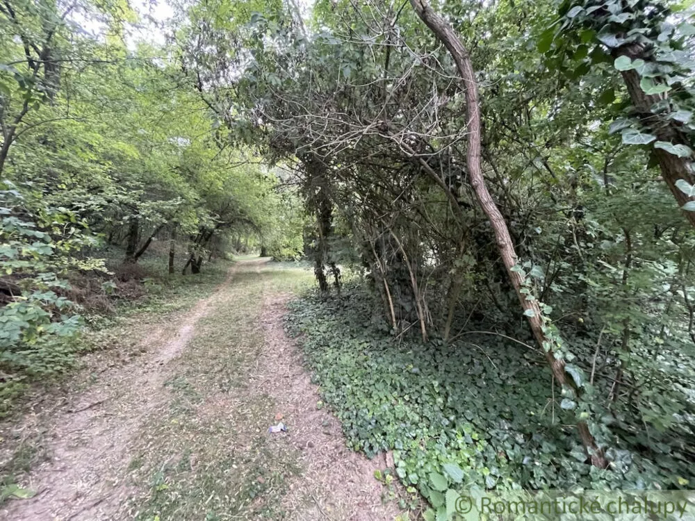 Rodinný dom na predaj 70m2, Branč, 156043_21