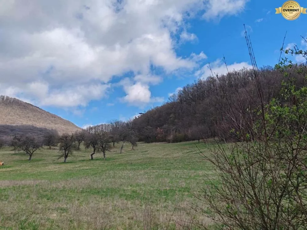Rekreačný pozemok na predaj 26564m2, Trenčín, 159069_2