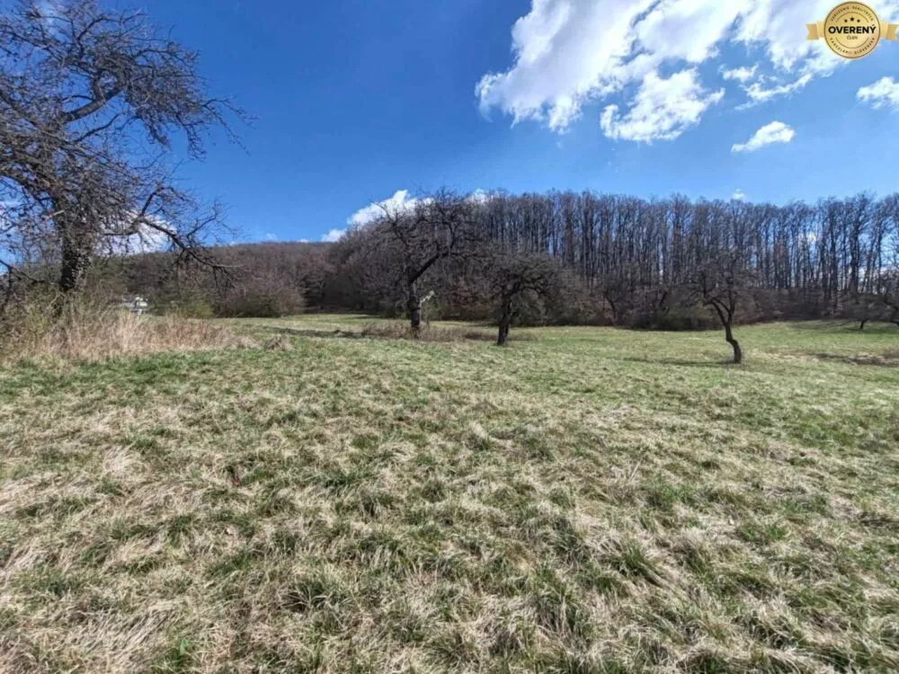 Rekreačný pozemok na predaj 26564m2, Trenčín, 159069_3