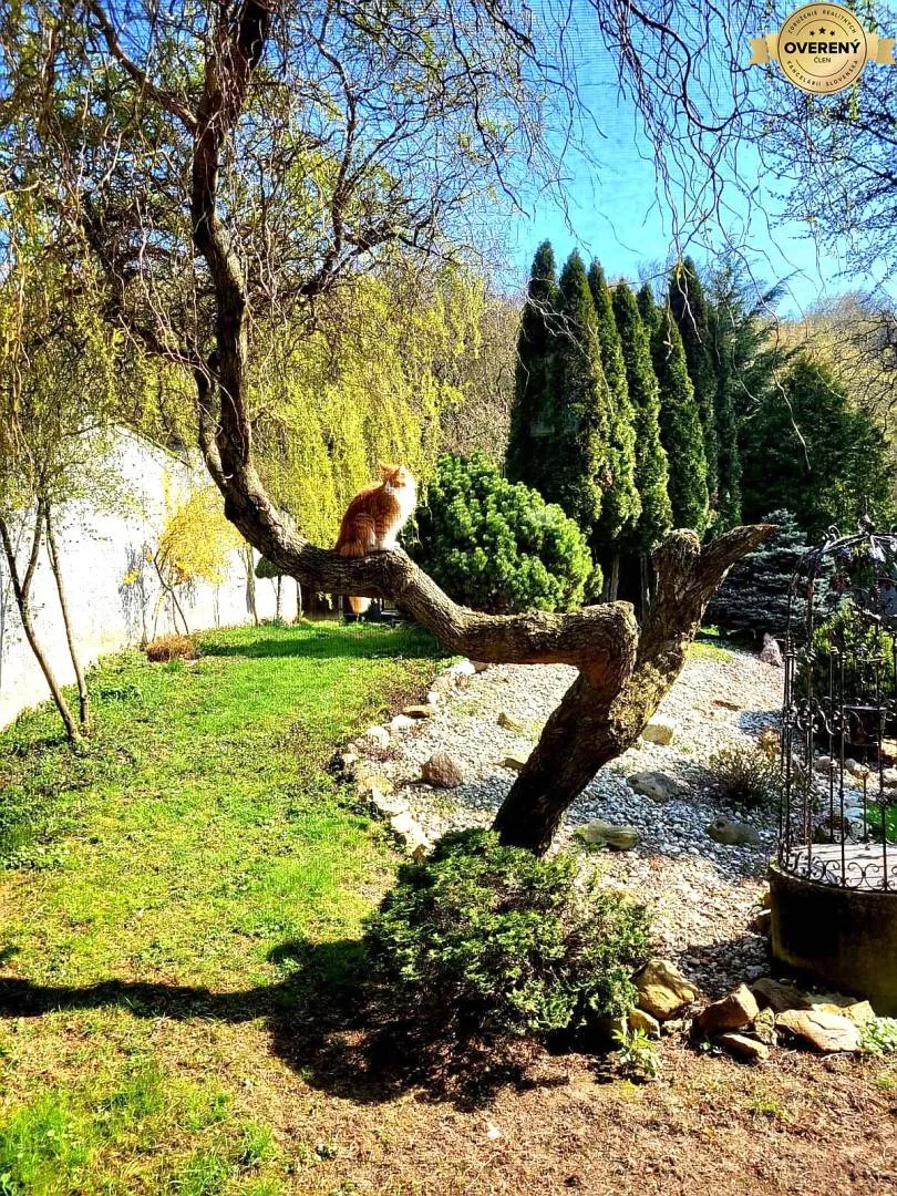 Rodinný dom na predaj 220m2, Pila, Pezinok, 159076_10