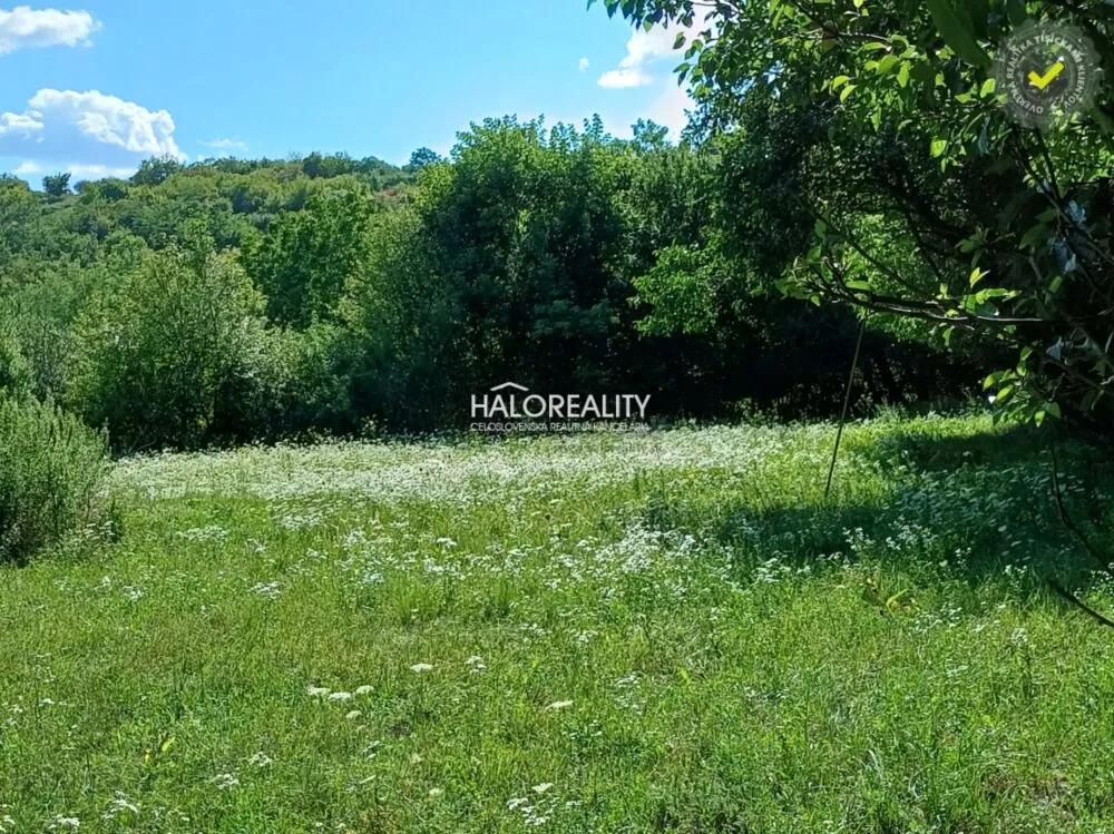 Rodinný dom na predaj 4932m2, Lontov, 159608_5