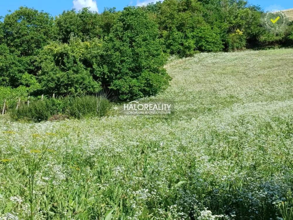 Rodinný dom na predaj 4932m2, Lontov, 159608_6