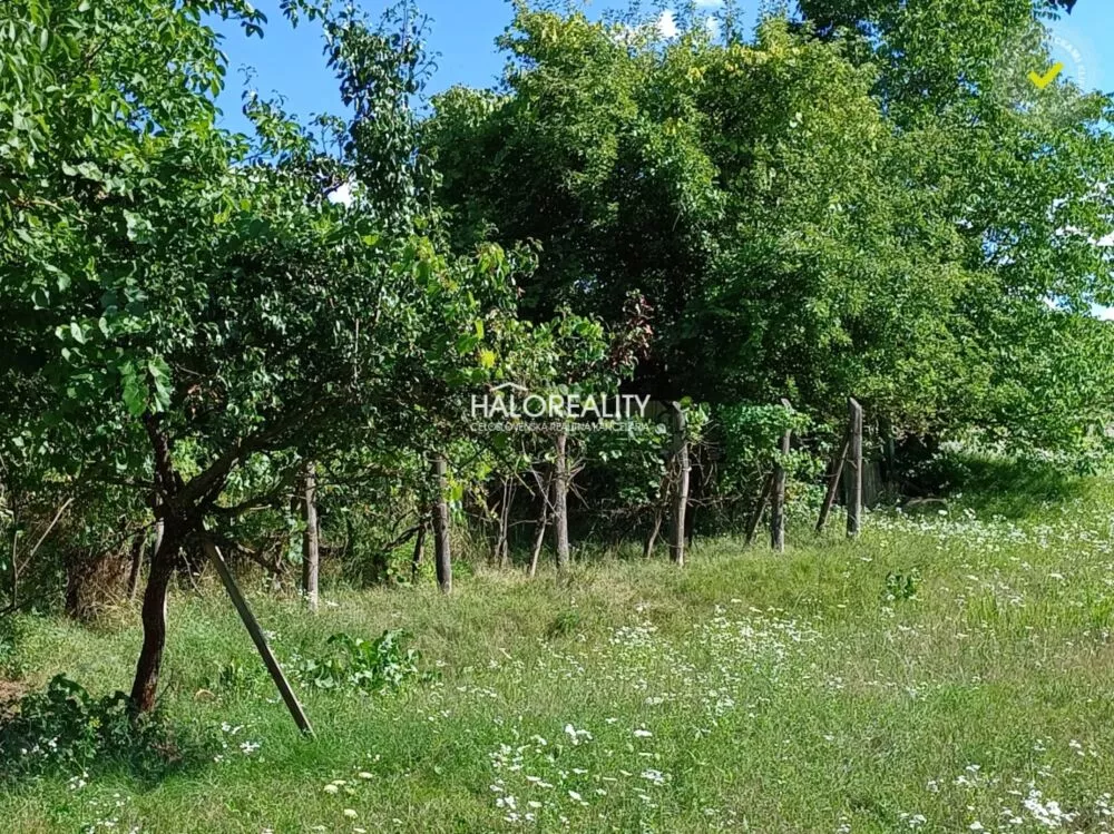 Rodinný dom na predaj 4932m2, Lontov, 159608_7