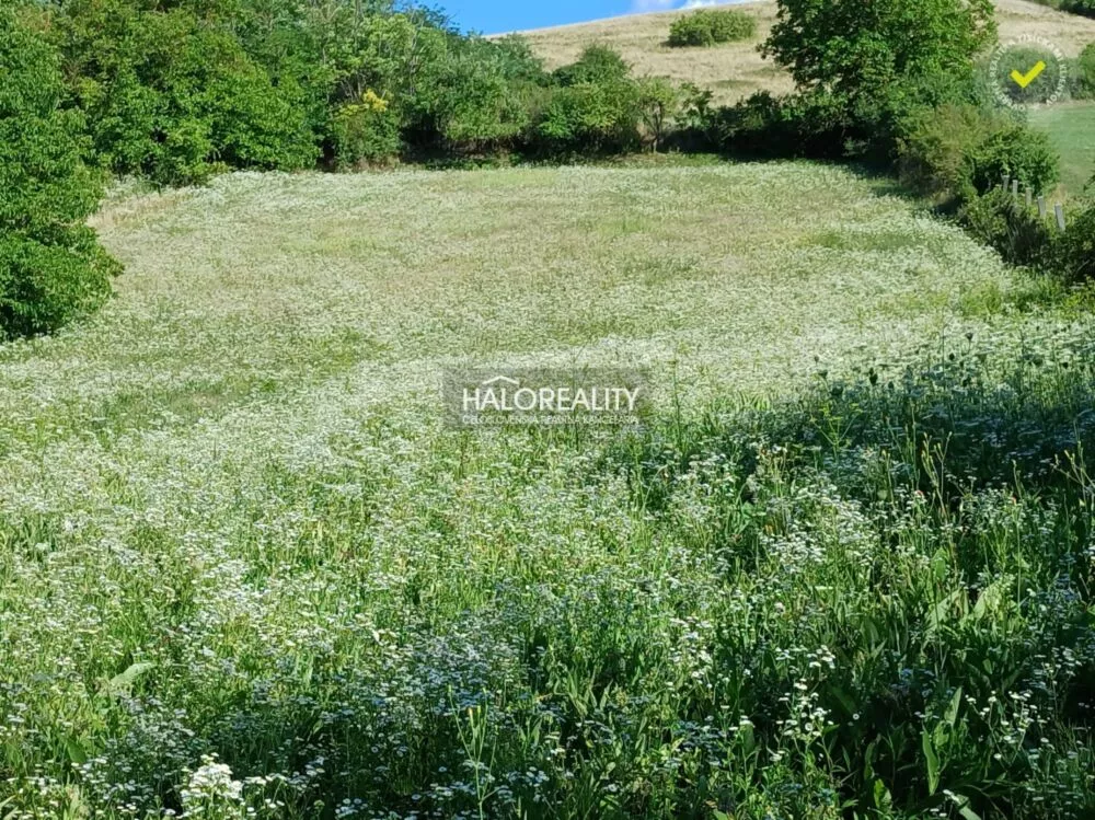 Rodinný dom na predaj 4932m2, Lontov, 159608_8