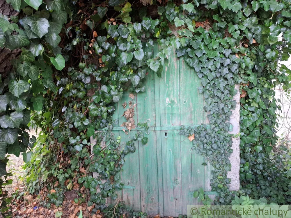 Rodinný dom na predaj 80m2, Moča, 156901_46