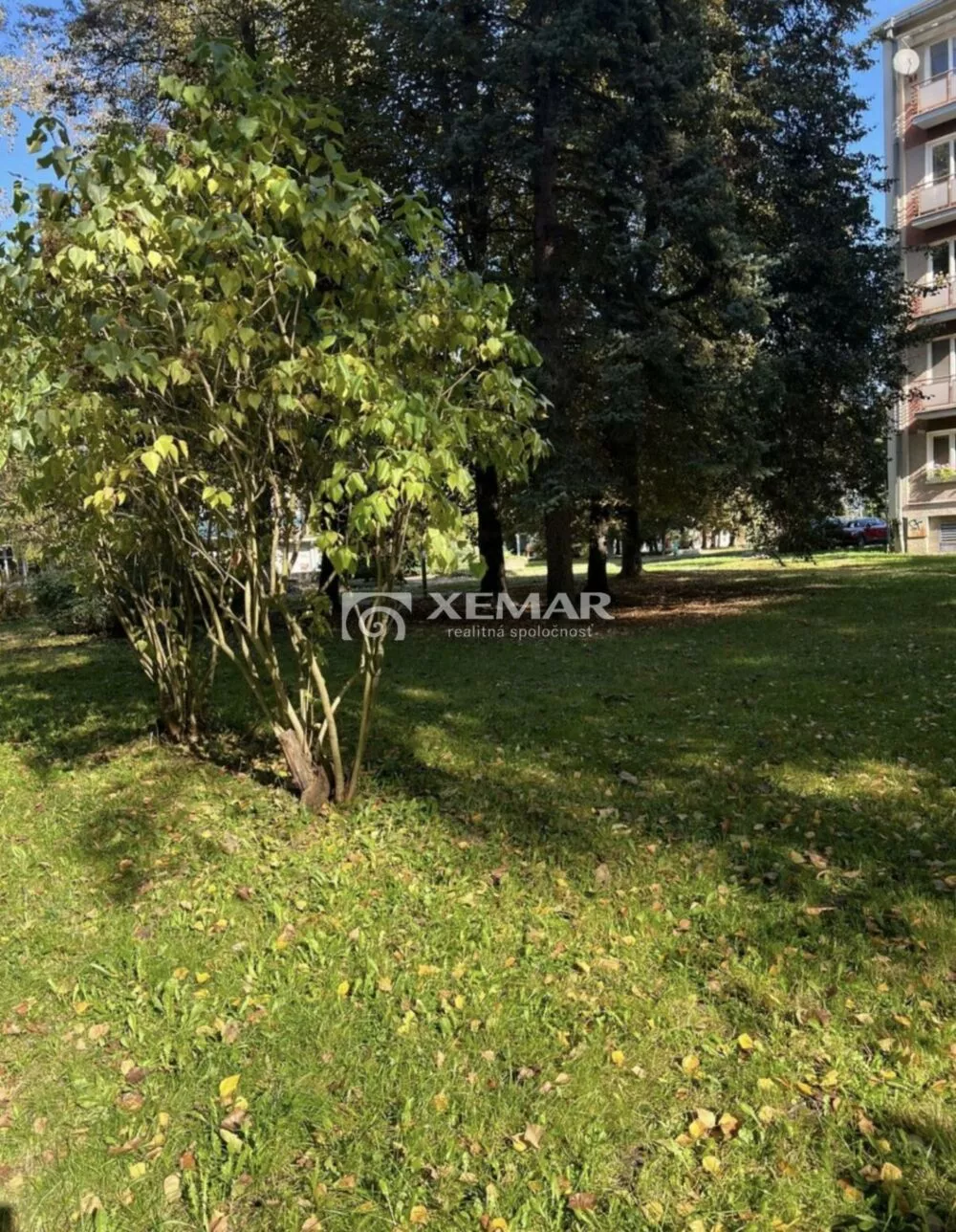 2 izbový byt na prenájom 65m2, Trieda SNP, Banská Bystrica, 158521_11