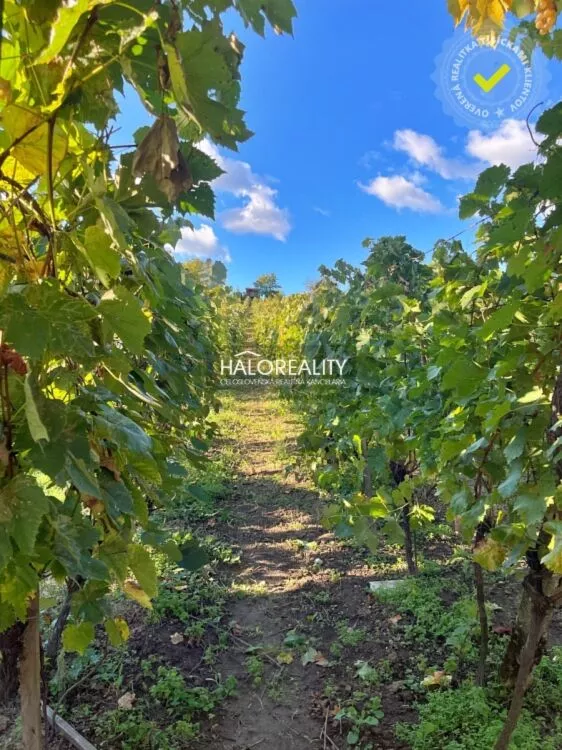 Záhradná chatka na predaj 60m2, Kozárovce, 159689_8