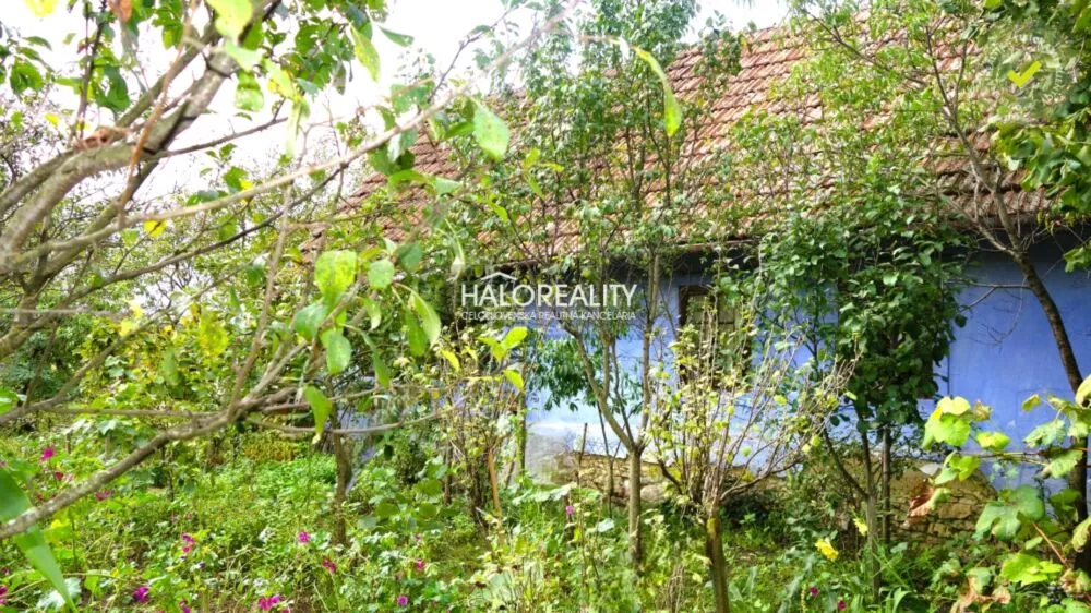 Rodinný dom na predaj 92m2, Borský Mikuláš, 159734_1