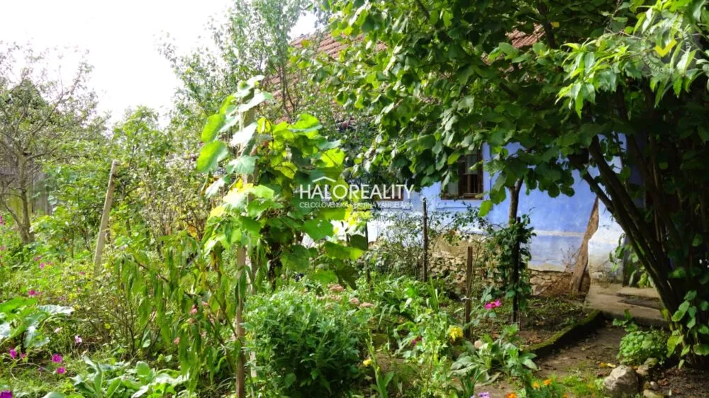 Rodinný dom na predaj 92m2, Borský Mikuláš, 159734_3