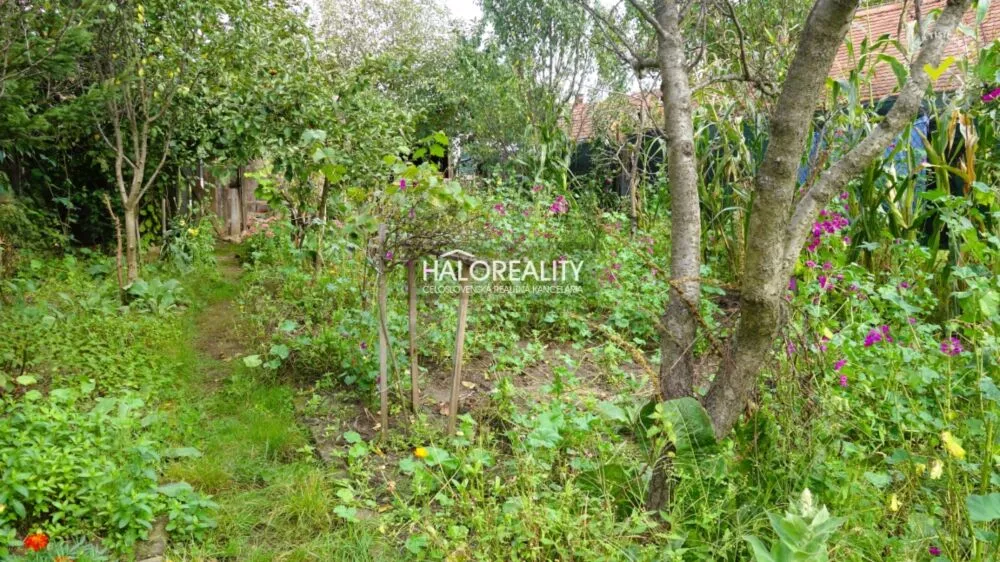 Rodinný dom na predaj 92m2, Borský Mikuláš, 159734_12