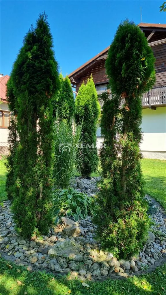 Hotel, penzión na predaj 300m2, Bystrá, Bystrá, 130000_0