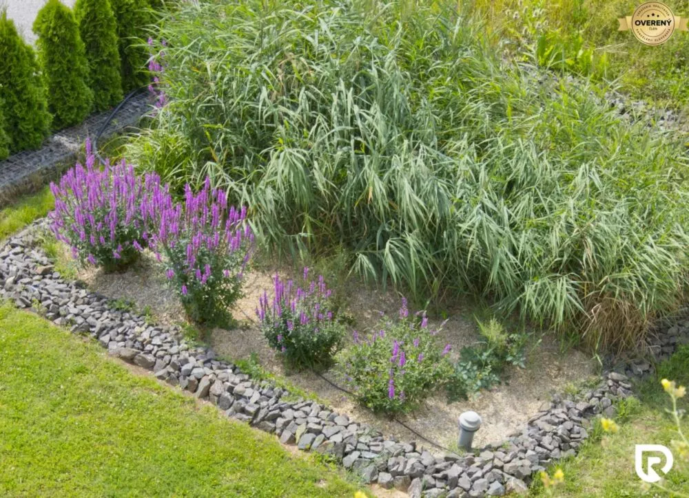 Rodinný dom na predaj 142m2, Rohožník, 159884_6