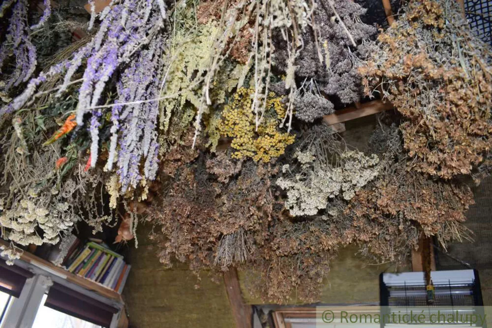 Rodinný dom na predaj 65m2, Devičany, 151209_14