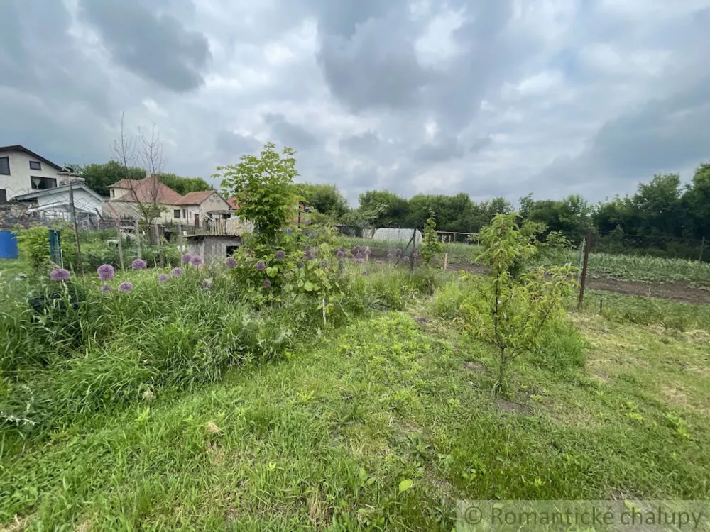 Rodinný dom na predaj 250m2, Branč, 154362_36