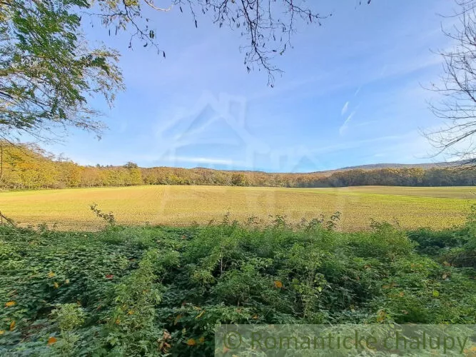 Rekreačný pozemok na predaj 8938m2, Horné Lefantovce, 146965_5