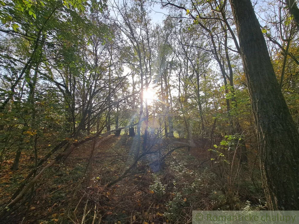 Rekreačný pozemok na predaj 8938m2, Horné Lefantovce, 146965_8