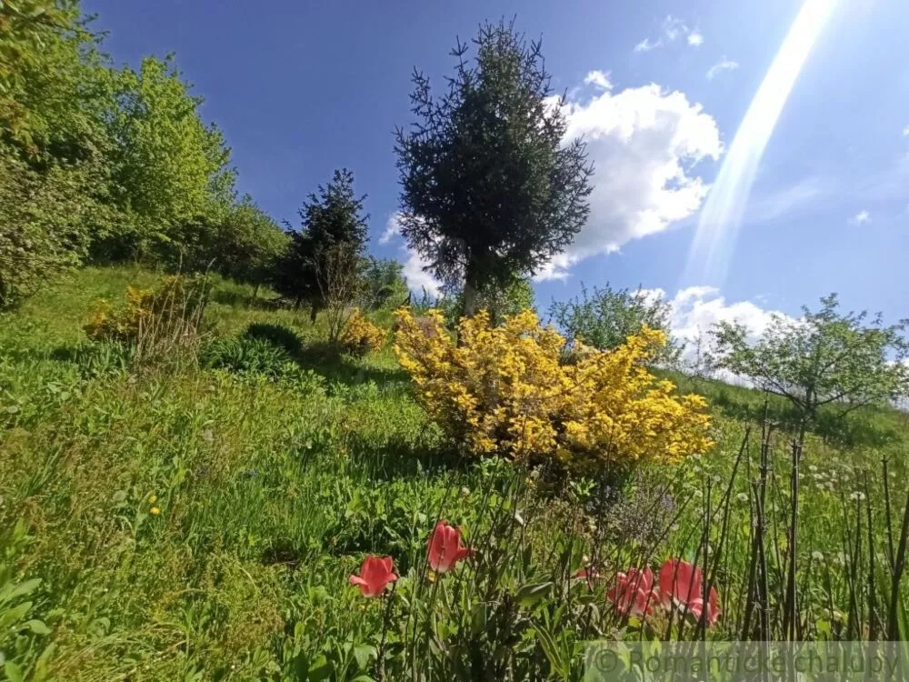 Rodinný dom na predaj 60m2, Humenné, 125630_5